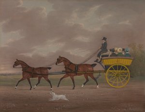 Un caballero conduciendo tándem a un coche de paseo